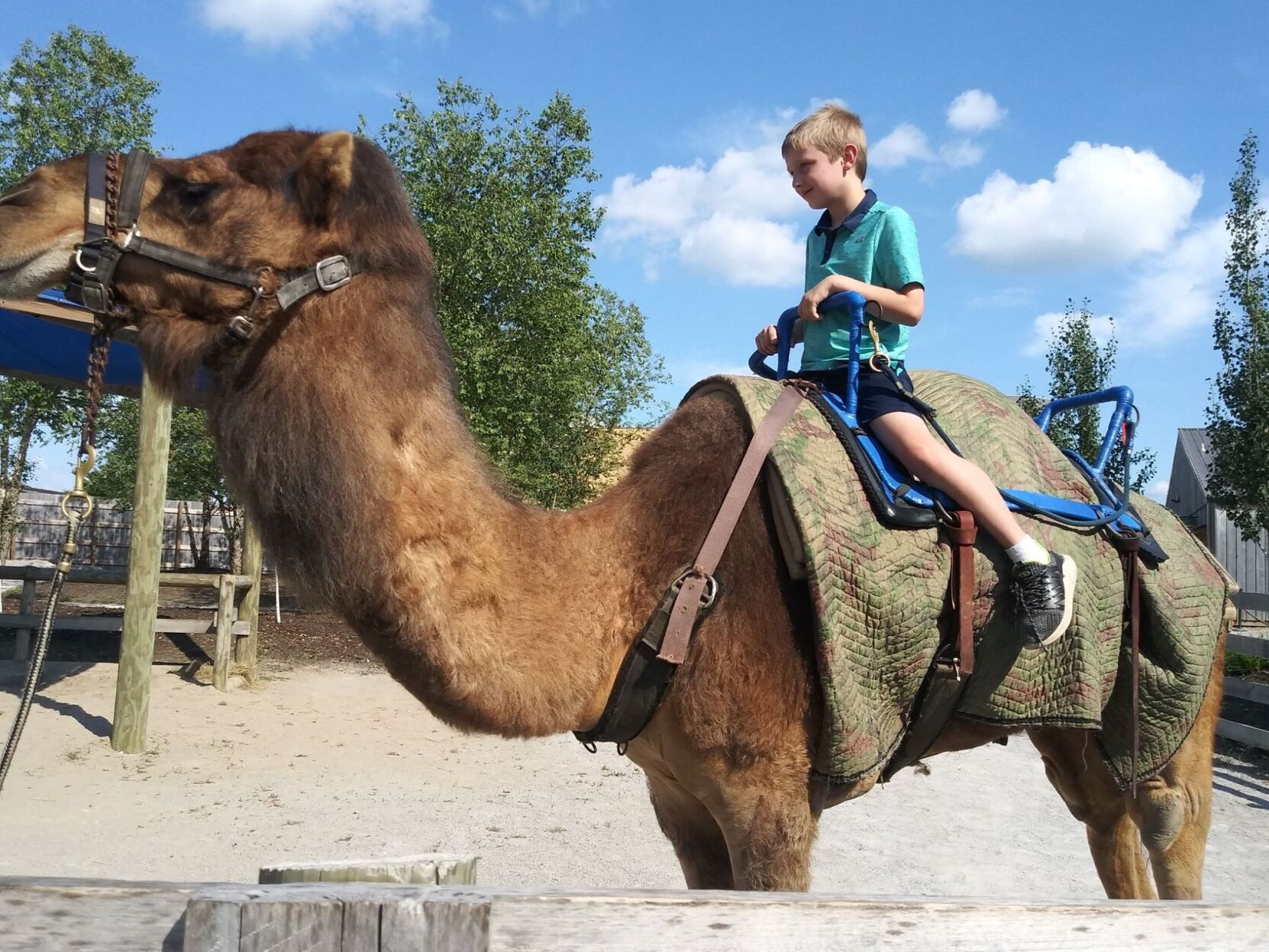 What day is it? Hump Day !!